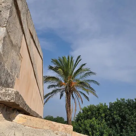 Tenuta Cammarana *