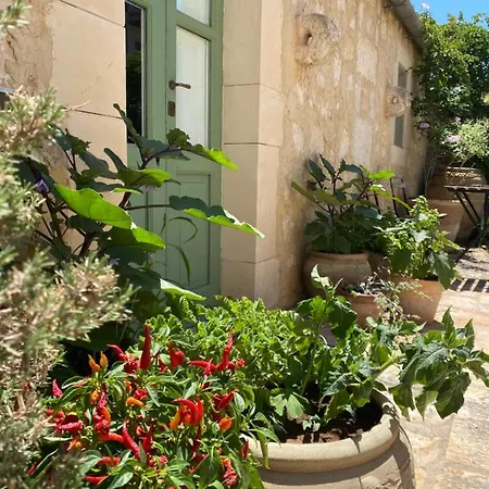 Tenuta Cammarana Country house