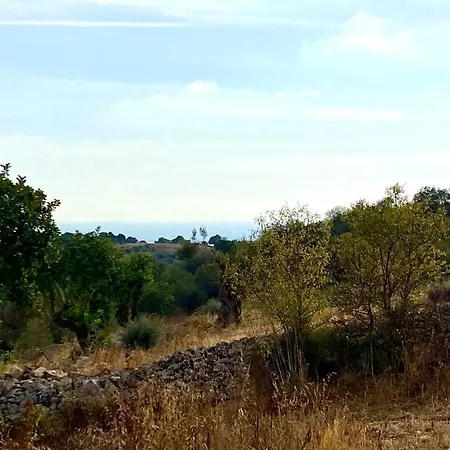 Tenuta Cammarana