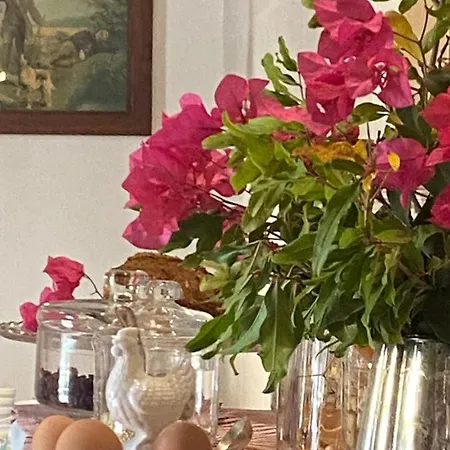 Tenuta Cammarana