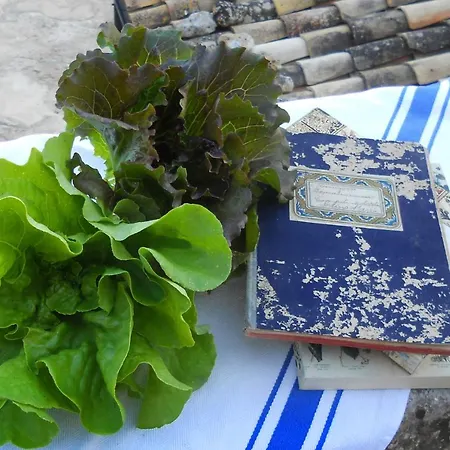Tenuta Cammarana Séjour à la campagne *