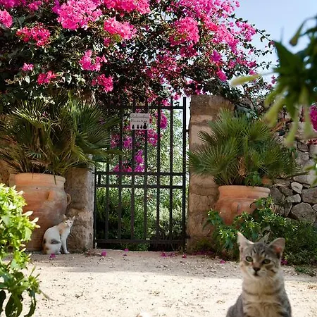 Tenuta Cammarana Country house *