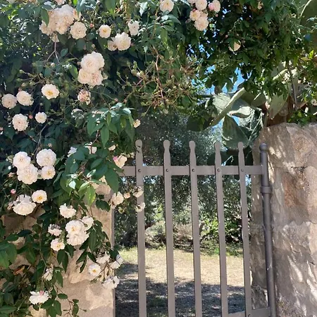 Tenuta Cammarana Donnafugata