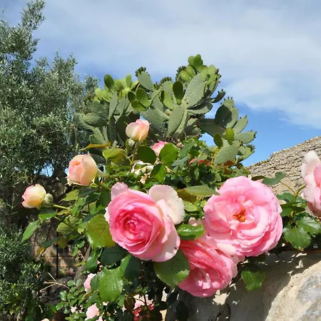 Tenuta Cammarana Casa di campagna