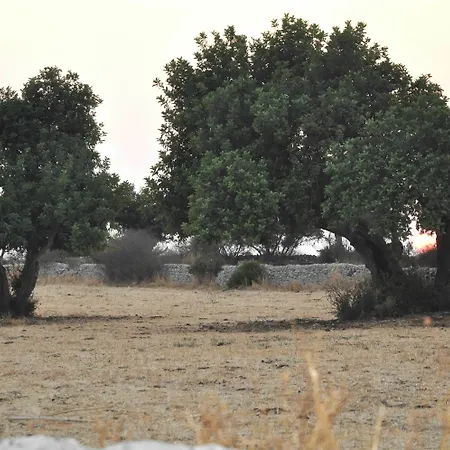 Tenuta Cammarana * Donnafugata
