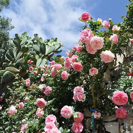 Tenuta Cammarana Country house
