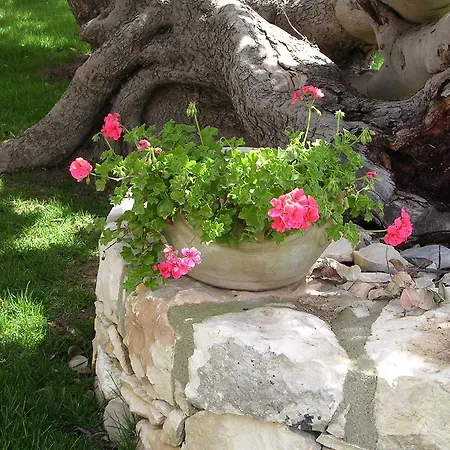 Tenuta Cammarana Country house Donnafugata