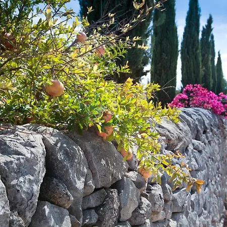 Country house Tenuta Cammarana