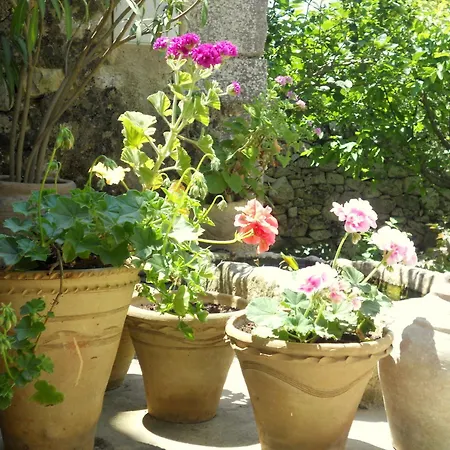 Tenuta Cammarana